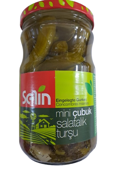 Selin Mini cubuk